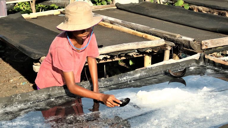 Collecting Bali Salt