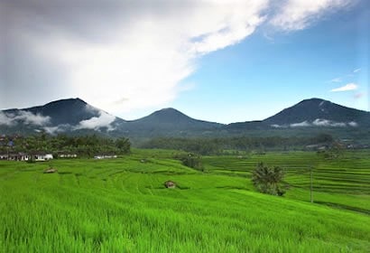 Full Day Bali Tour