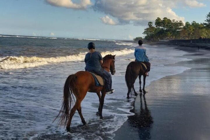 Best Bali Horse Riding