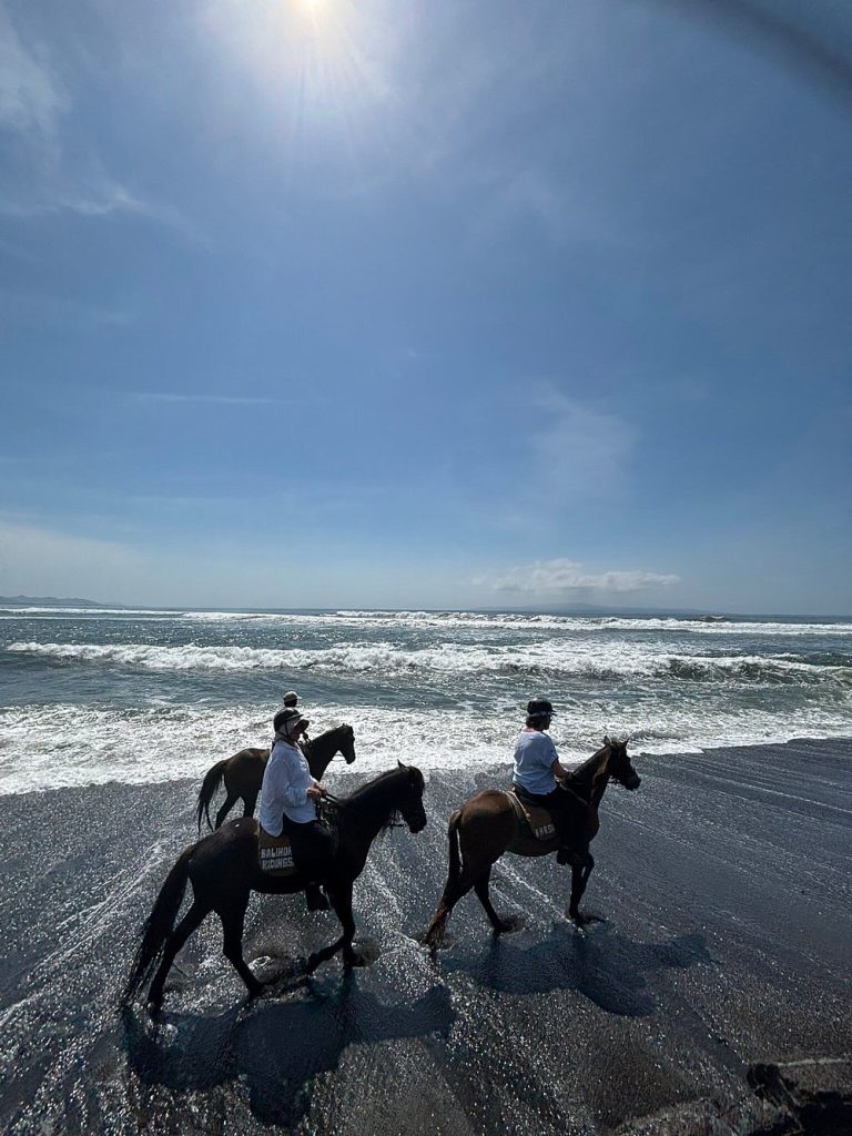 Best Bali Horse Riding
