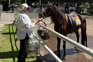 Best Bali Horse Riding
